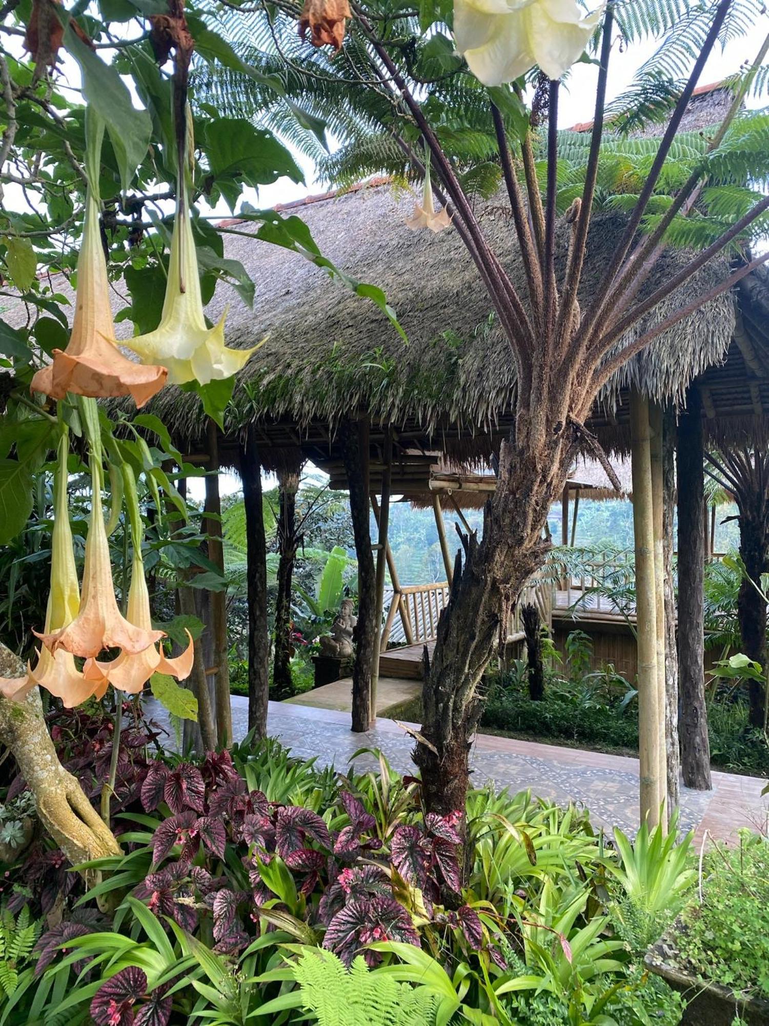 Lembah Cinta Mayungan Baturiti Exterior foto